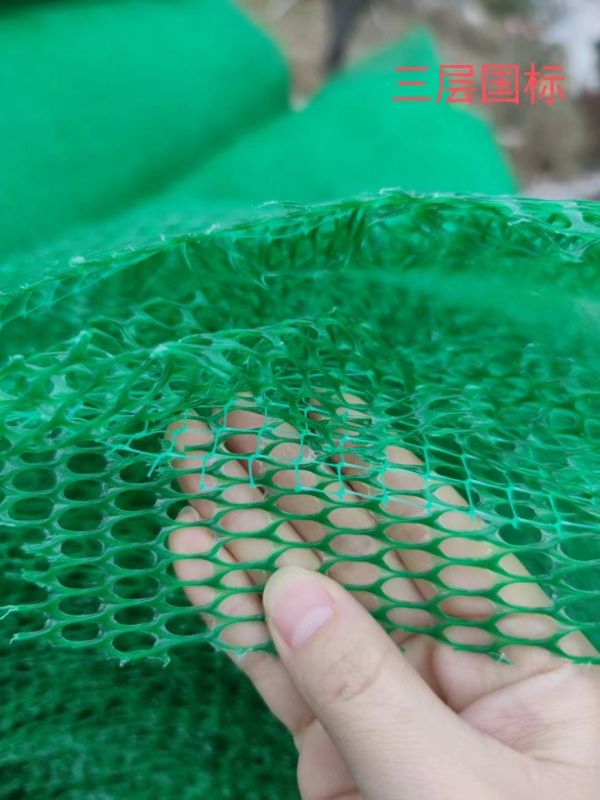 三維植被網護坡是指什么